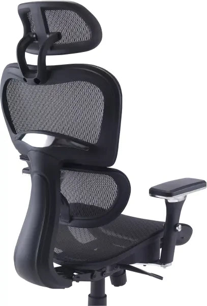 Chachi Ergonomic Office Chair back view