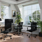 Modern office with black chairs and large windows