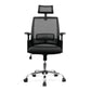Alpha - High Back Mesh Chair with Adjustable Headrest and Sleek Chrome Base