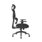 Trinity - Ergonomic Mesh Chair with Adjustable Headrest, Arms and Lumbar Support