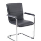 Pavia Visitor Chair