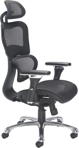Chachi Ergonomic Office Chair side view