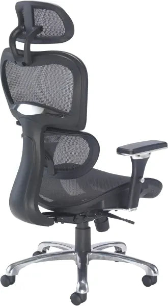 Chachi Ergonomic Office Chair back view
