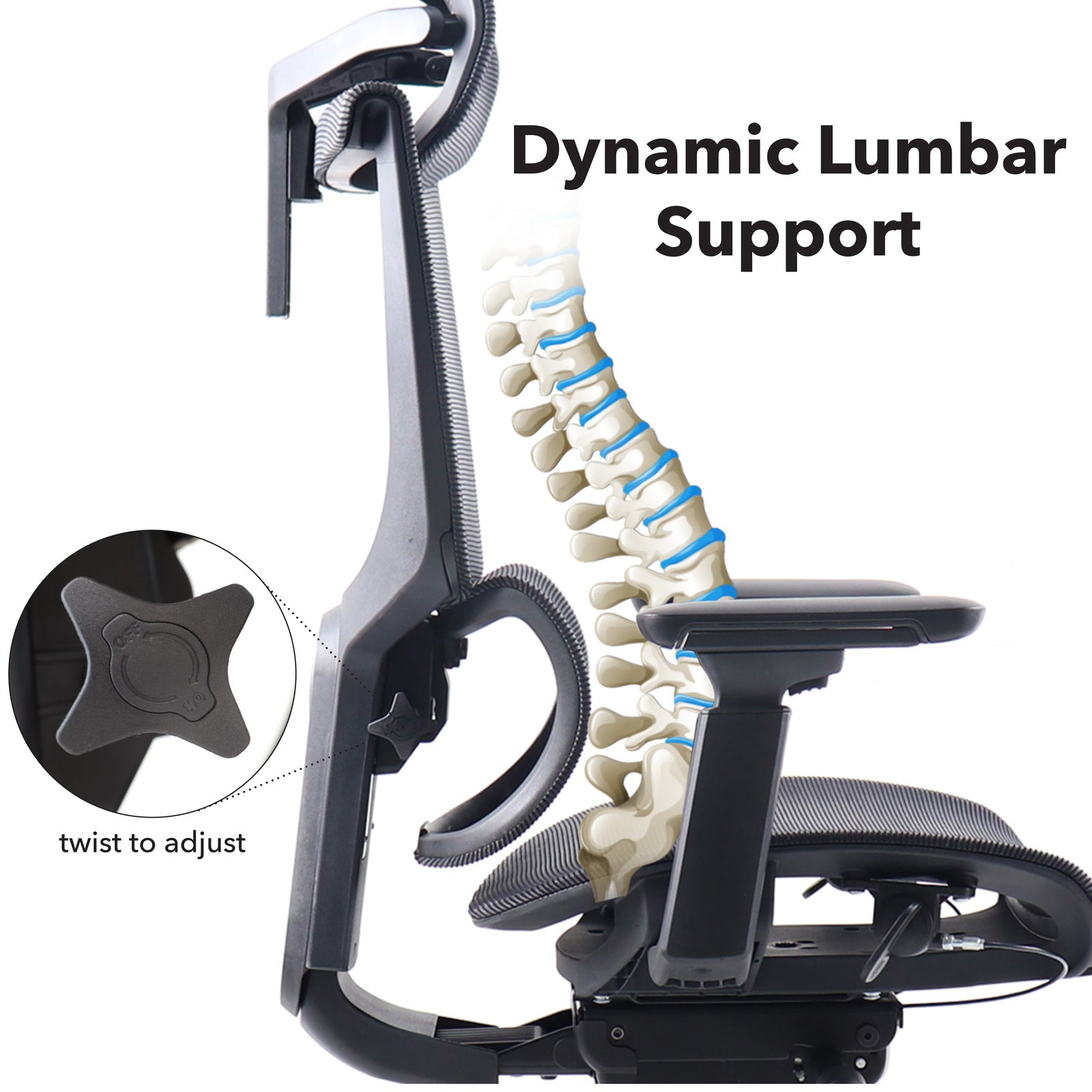 Elise Mesh Back Operator Chair lumbar support.