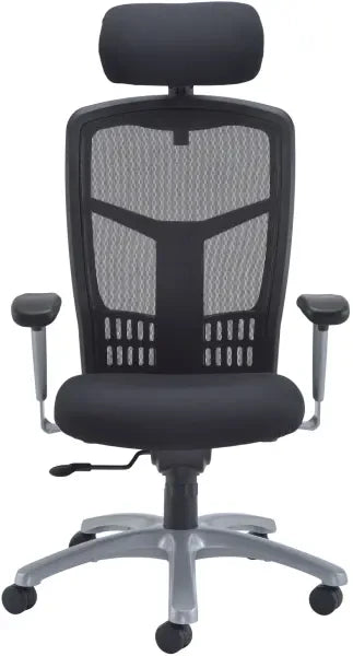 Fonz Chair front view