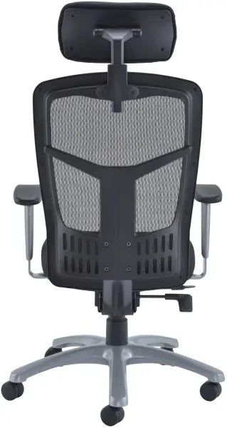 Fonz Chair back view