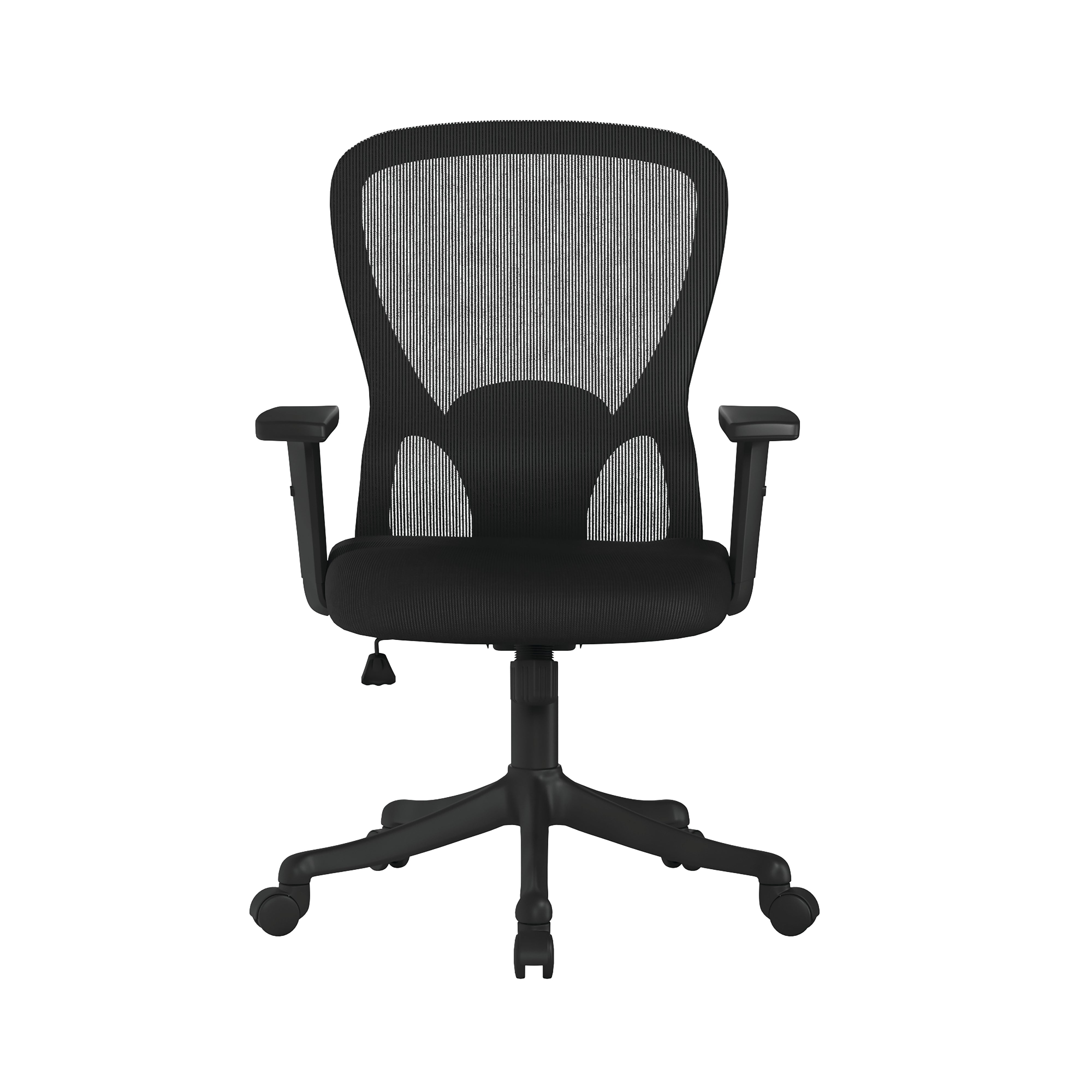 High Back Mesh Chair with Height Adjustable Arms, Adjustable Lumbar ...