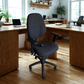 Black office chair in a modern office setting with wooden desks and plants.