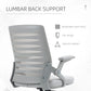 White office chair with lumbar back support on a white background