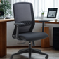 Gray office chair in an office setting with a desk and plants.