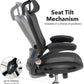 Curva Task Chair