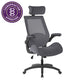 Resolute Office Chair